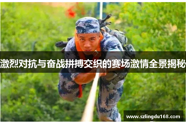 激烈对抗与奋战拼搏交织的赛场激情全景揭秘