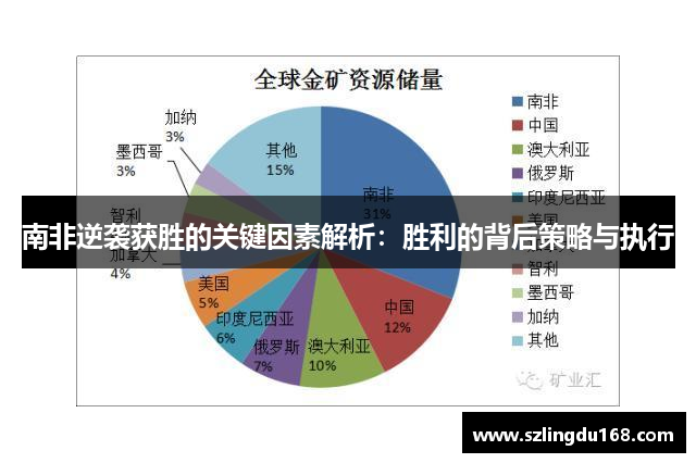 南非逆袭获胜的关键因素解析：胜利的背后策略与执行