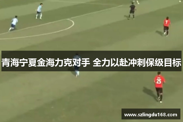 青海宁夏金海力克对手 全力以赴冲刺保级目标