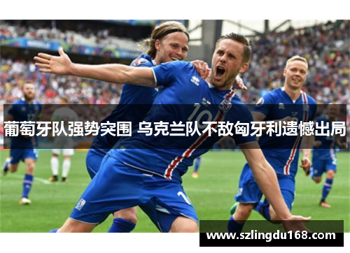 葡萄牙队强势突围 乌克兰队不敌匈牙利遗憾出局