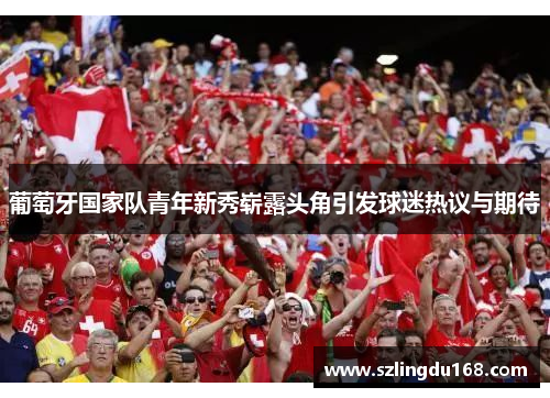 葡萄牙国家队青年新秀崭露头角引发球迷热议与期待