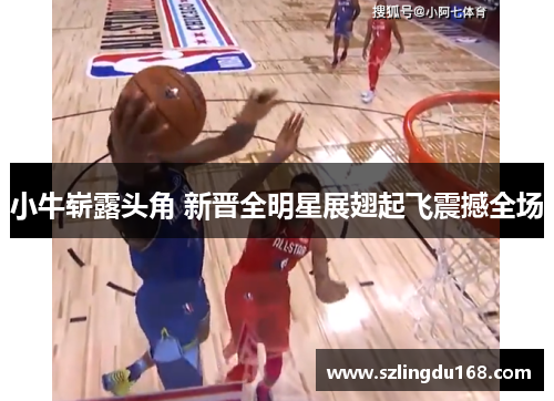 小牛崭露头角 新晋全明星展翅起飞震撼全场