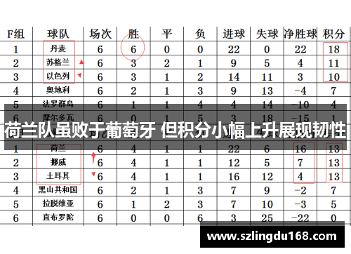 荷兰队虽败于葡萄牙 但积分小幅上升展现韧性