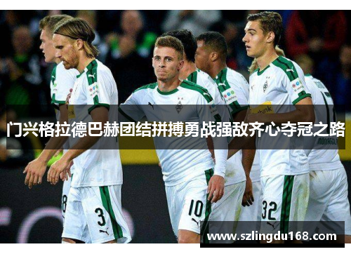 门兴格拉德巴赫团结拼搏勇战强敌齐心夺冠之路